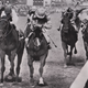 Illustration for article titled The Derby Winner And The Vet Who Pioneered Racings Doping Addiction